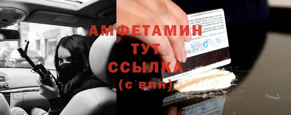 сатива Липки
