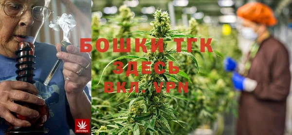сатива Липки