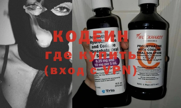 сатива Липки