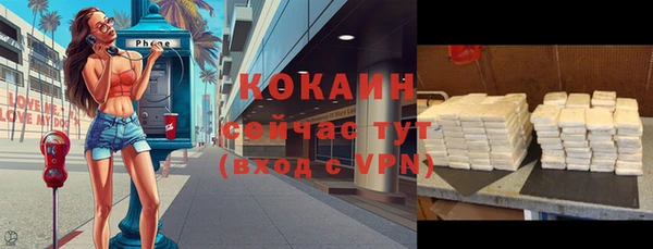 сатива Липки