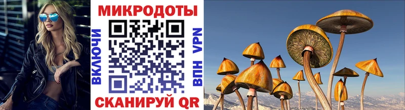 Псилоцибиновые грибы MAGIC MUSHROOMS Сухиничи